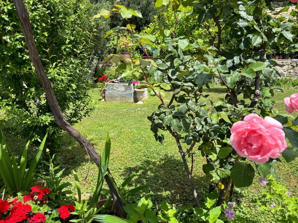 Roses and lawn in the garden of Villa Anica Dubrovnik