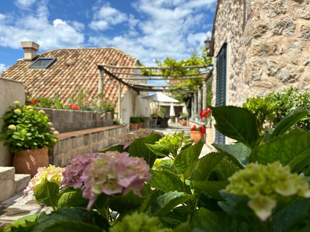 Terrace with hydrangeas and a pergola beside the stone house